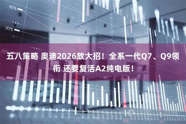 五八策略 奥迪2026放大招！全系一代Q7、Q9领衔 还要复活A2纯电版！