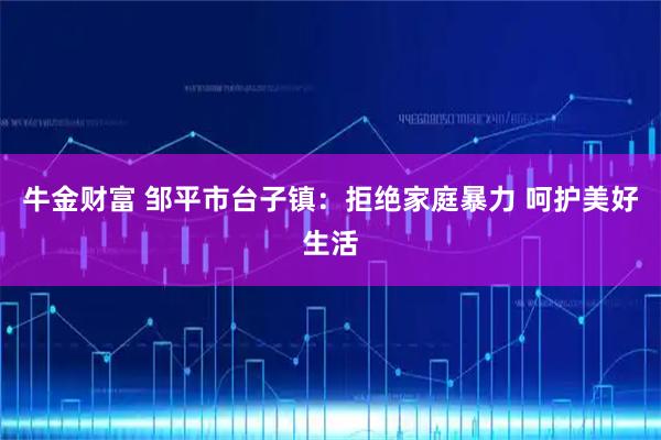 牛金财富 邹平市台子镇：拒绝家庭暴力 呵护美好生活