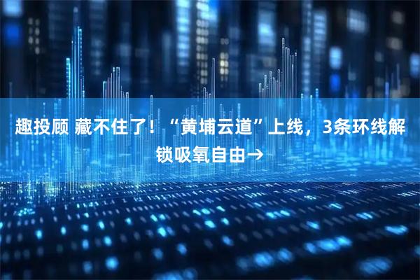 趣投顾 藏不住了！“黄埔云道”上线，3条环线解锁吸氧自由→