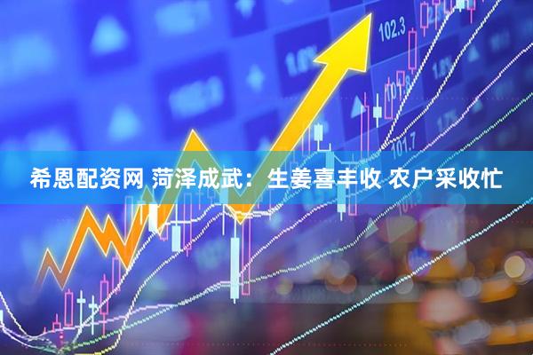 希恩配资网 菏泽成武：生姜喜丰收 农户采收忙