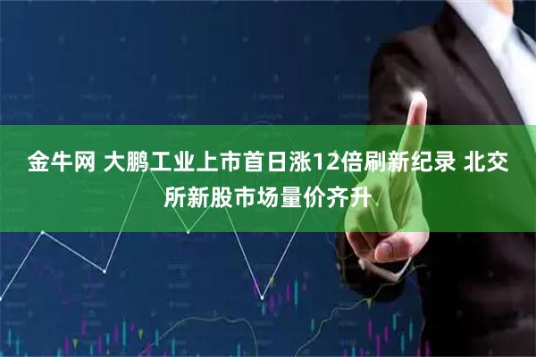 金牛网 大鹏工业上市首日涨12倍刷新纪录 北交所新股市场量价齐升