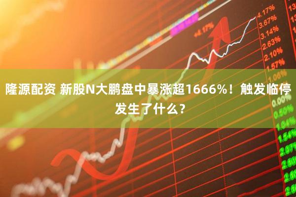 隆源配资 新股N大鹏盘中暴涨超1666%！触发临停 发生了什么？