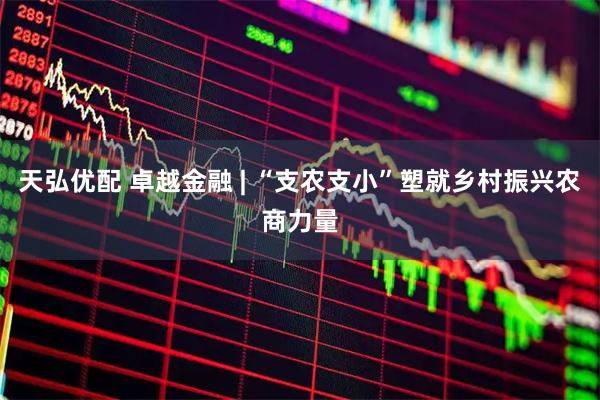 天弘优配 卓越金融 | “支农支小”塑就乡村振兴农商力量
