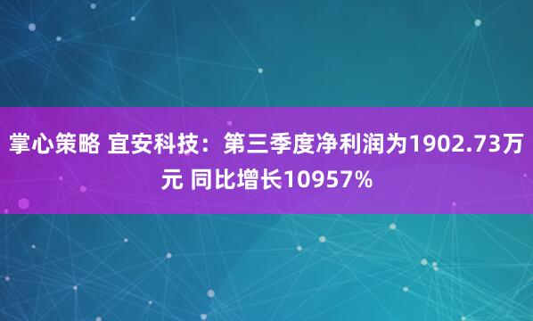 掌心策略 宜安科技：第三季度净利润为1902.73万元 同比增长10957%