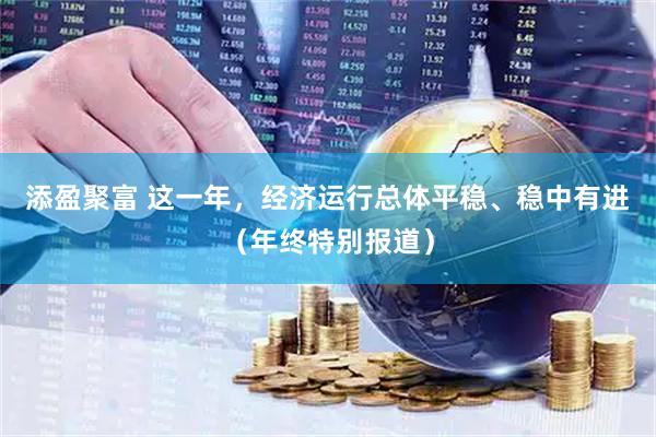 添盈聚富 这一年，经济运行总体平稳、稳中有进（年终特别报道）