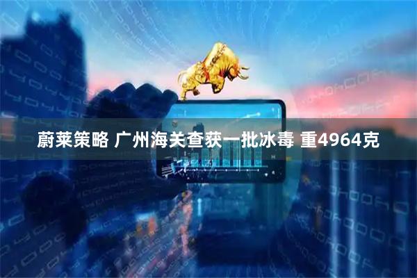蔚莱策略 广州海关查获一批冰毒 重4964克